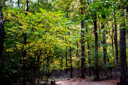 Kennesaw Mountain - October 31st, 2013