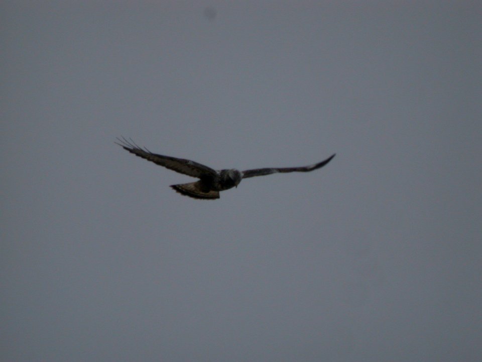 DSCN3382 RoleHa Pembroke Area Kankakee Co IL 2-27-09