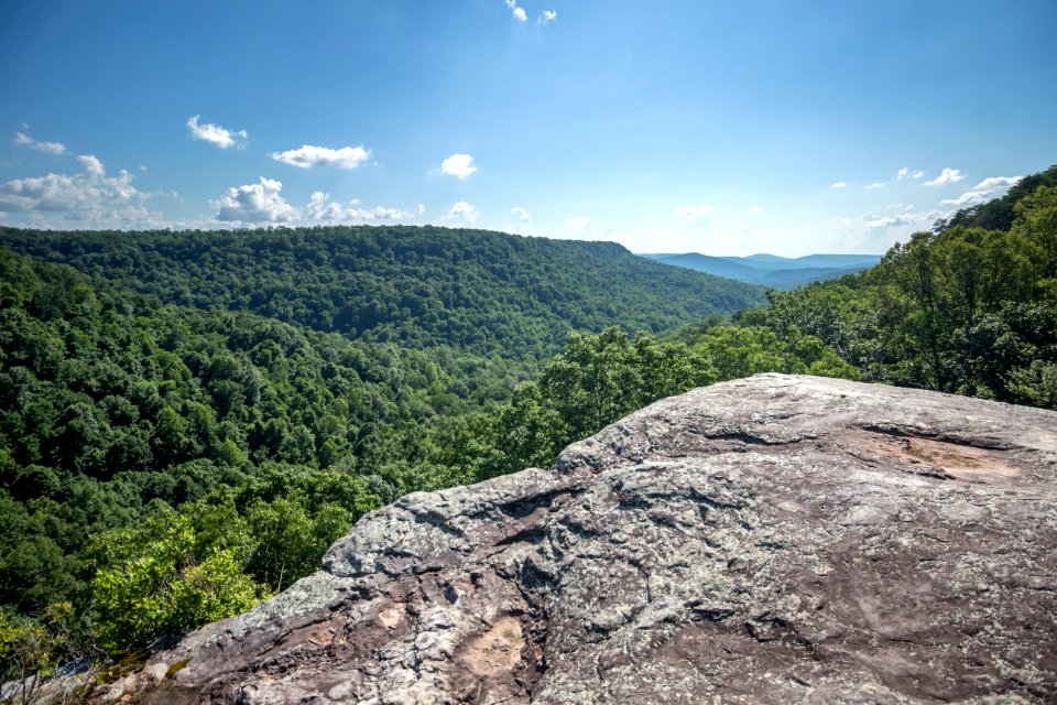 Spring Creek Gulf Overlook, Isha campus, Warren County, Tennessee 1