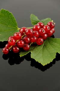 Berries food nature