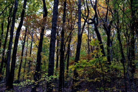 Kennesaw Mountain - October 31st, 2013