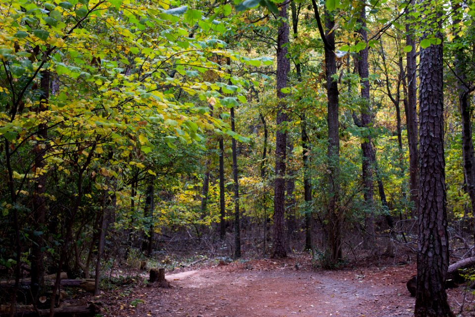 Kennesaw Mountain - October 31st, 2013