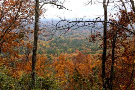 Kennesaw Mountain - October 31st, 2013
