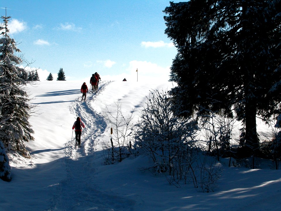 Personnes en raquette dans la neige