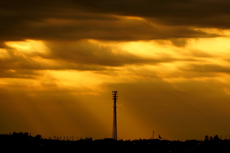 Day 119 - Afternoon Light