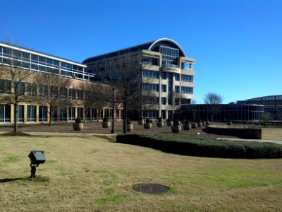 Day 24 - Sunny Afternoon on Campus