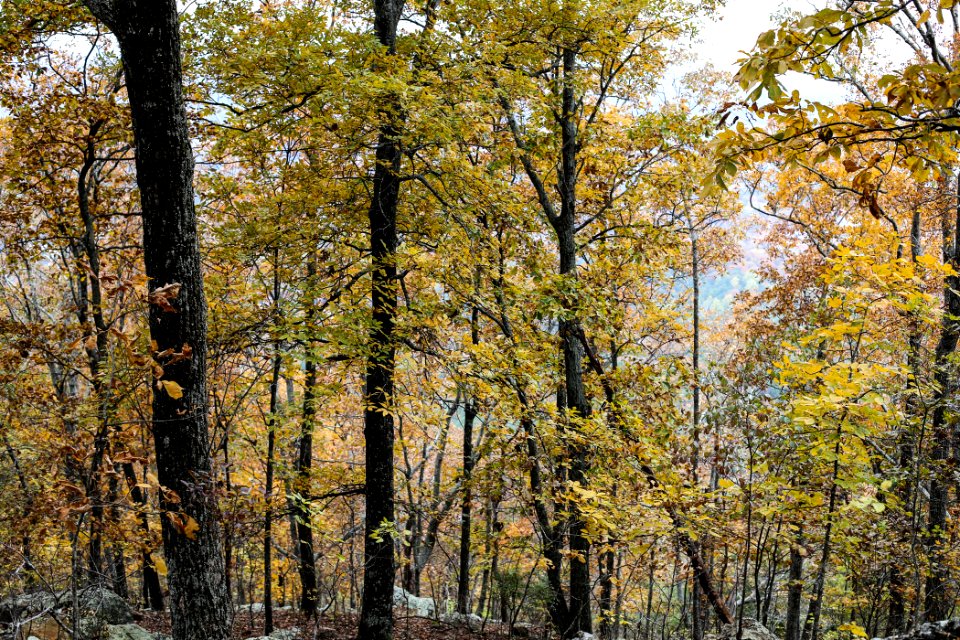 Kennesaw Mountain - October 31st, 2013