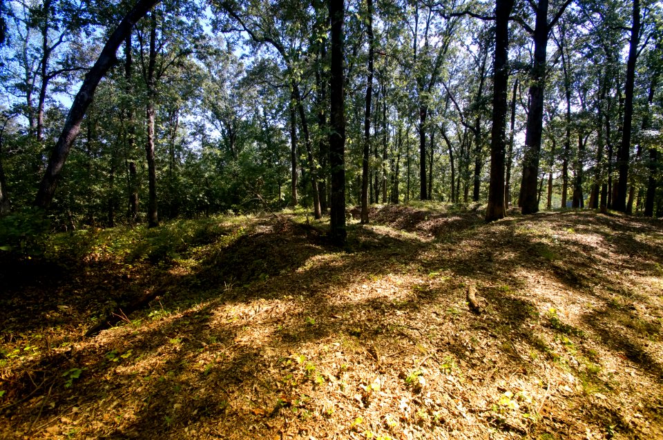 Day 272 - Trenches at Cheatham Hill
