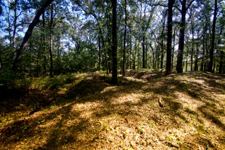 Day 272 - Trenches at Cheatham Hill