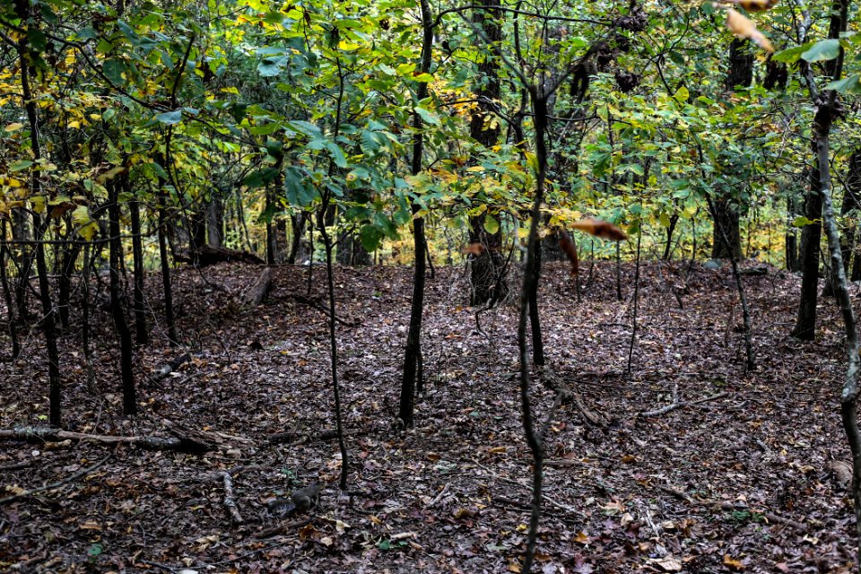 Kennesaw Mountain - October 31st, 2013
