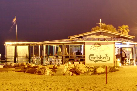 Beach Nighthawks (2767)