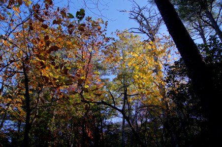 DSC00207