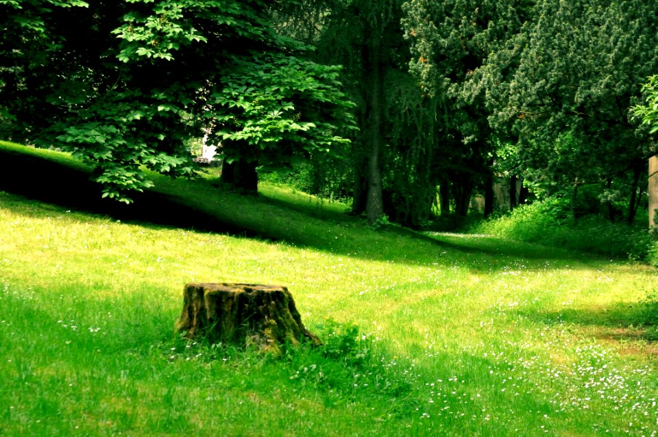 La Sauvagie