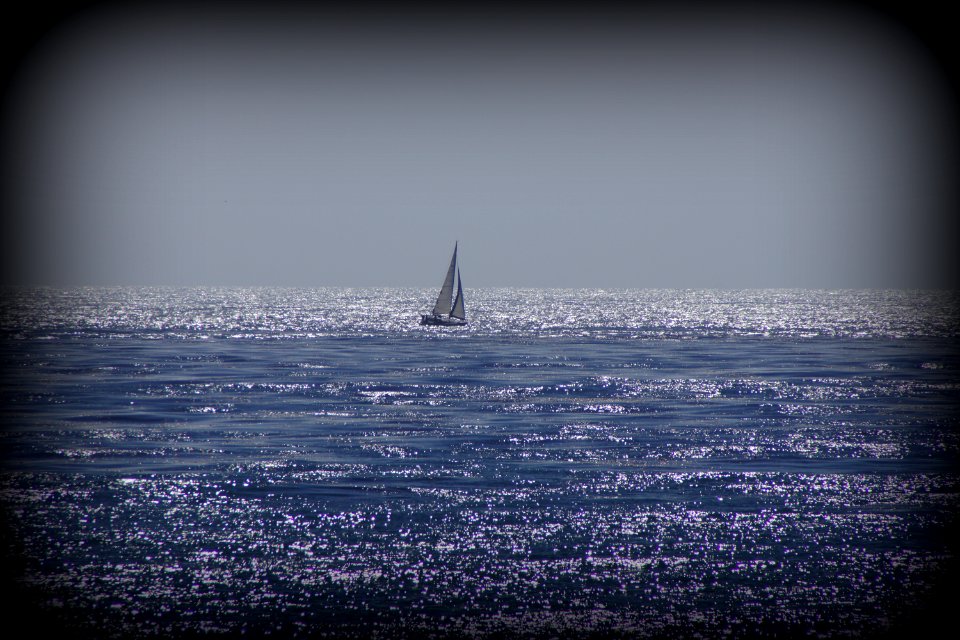 Day 203 - Missing California
