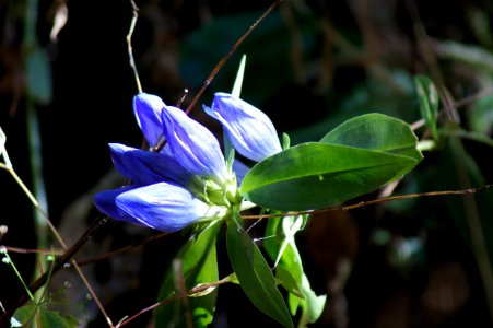 DSC00290