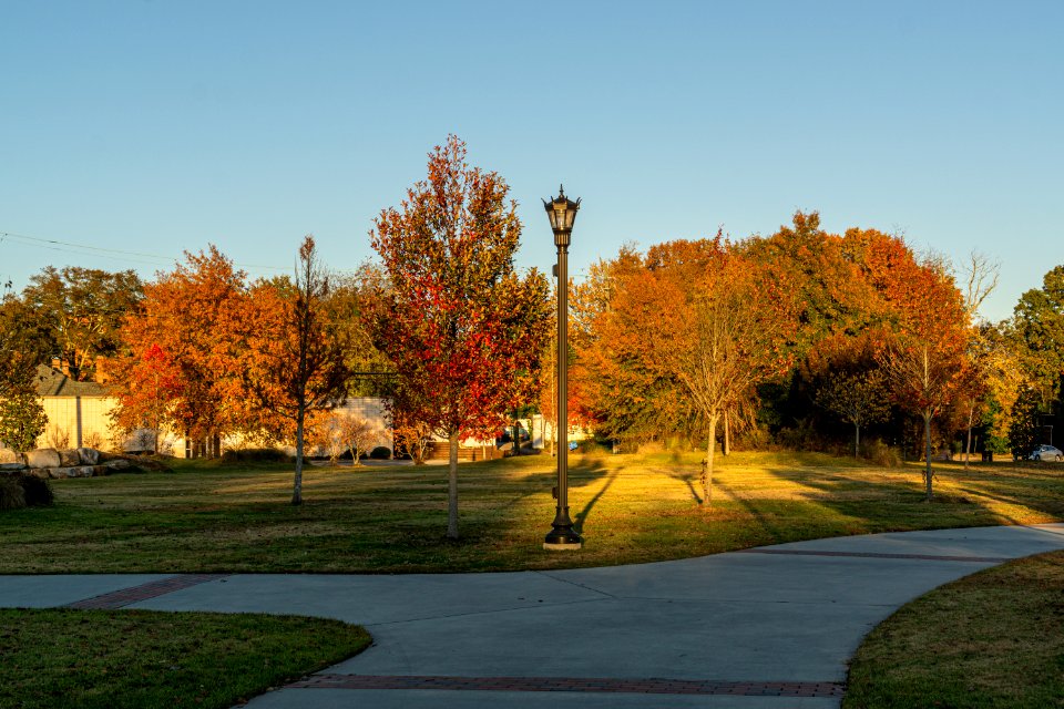 Fall Colors at Tattnall Square Park