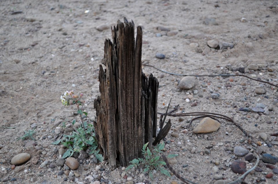 February 2014 - Military Telegraph Pole 2