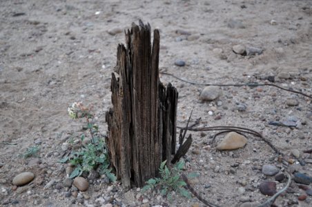 February 2014 - Military Telegraph Pole 2