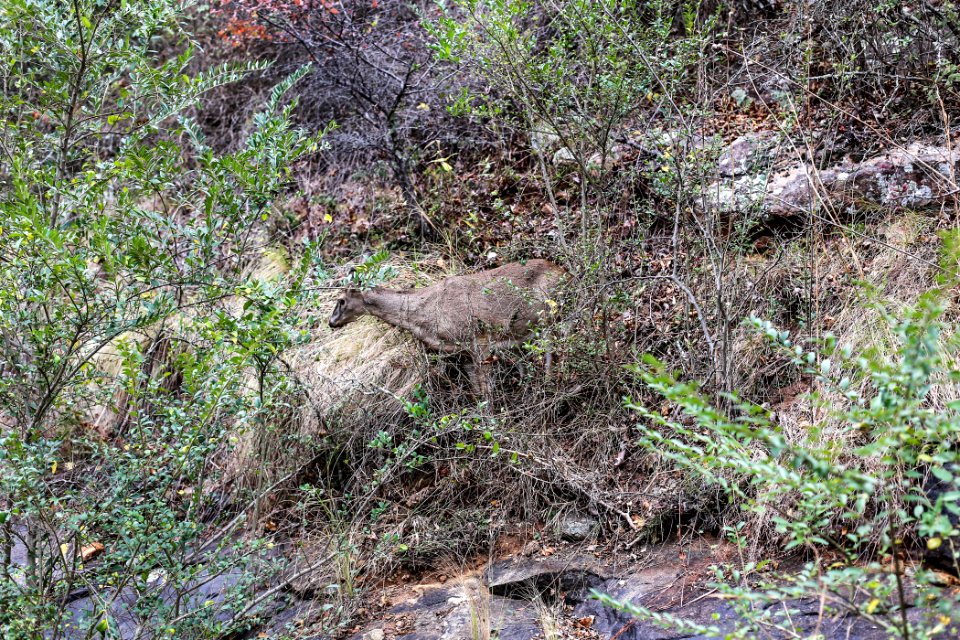 Kennesaw Mountain - October 31st, 2013