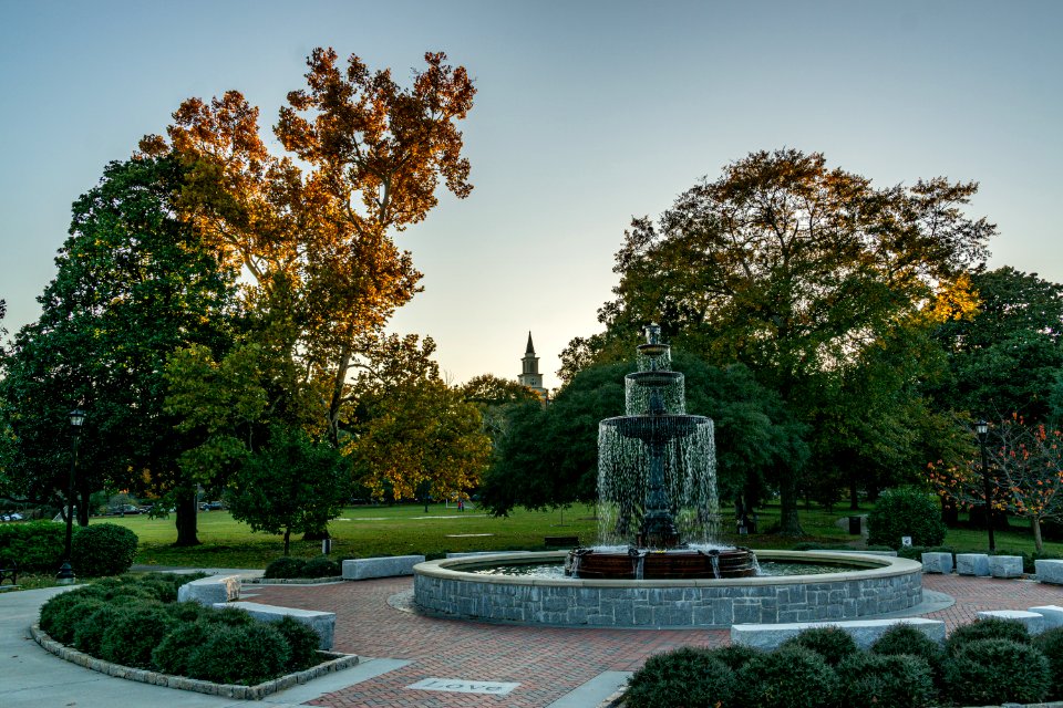 Fall Colors at Tattnall Square Park