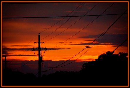 Day 200 - “The scattered tea goes with the leaves and every day a sunset dies.” - William Faulkner