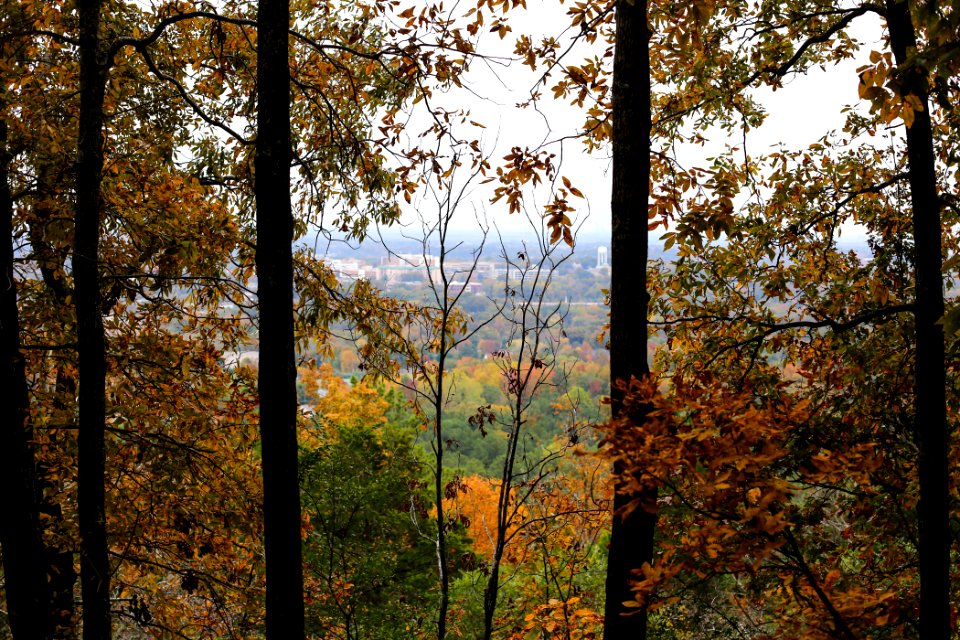 Kennesaw Mountain - October 31st, 2013