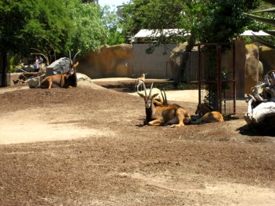 IMG 0416