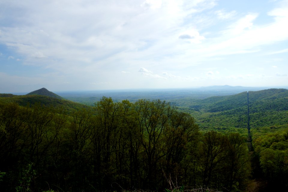 Day 92 - Spring in North Georgia