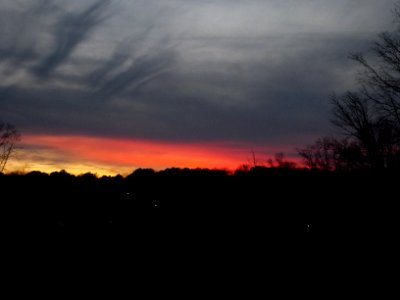 Day 59 - Pink and Gold Sunset