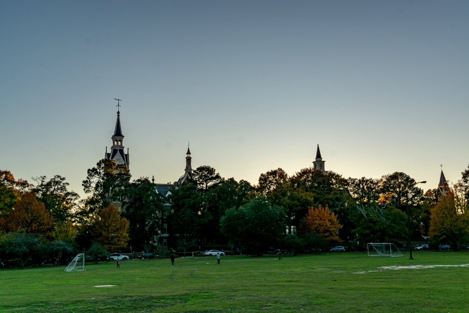 Fall Colors at Tattnall Square Park