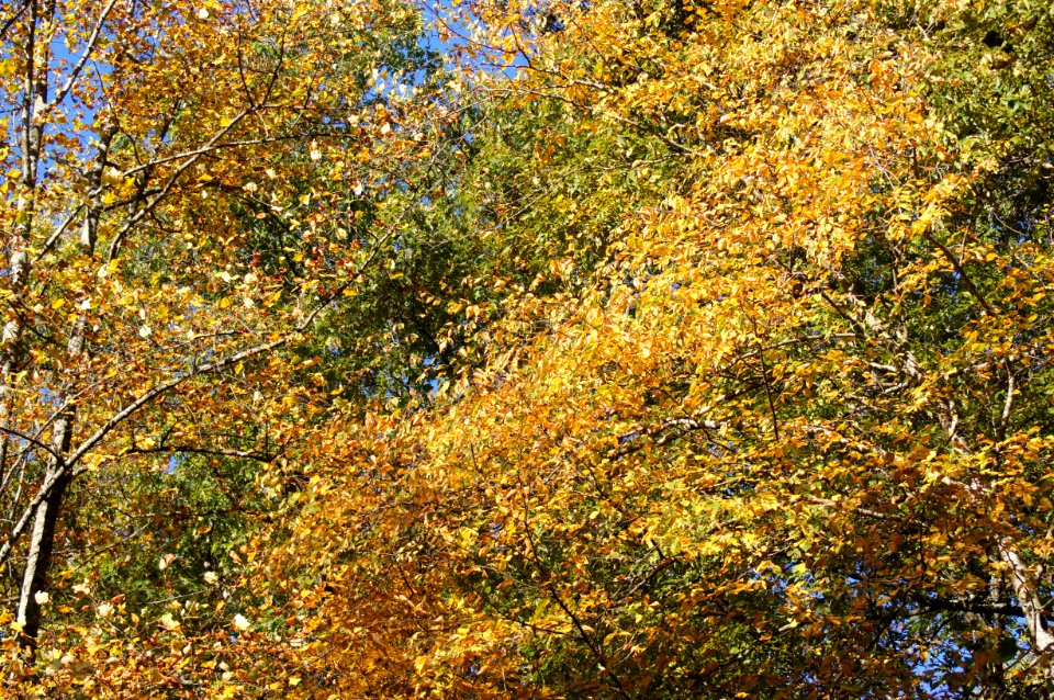DSC00167