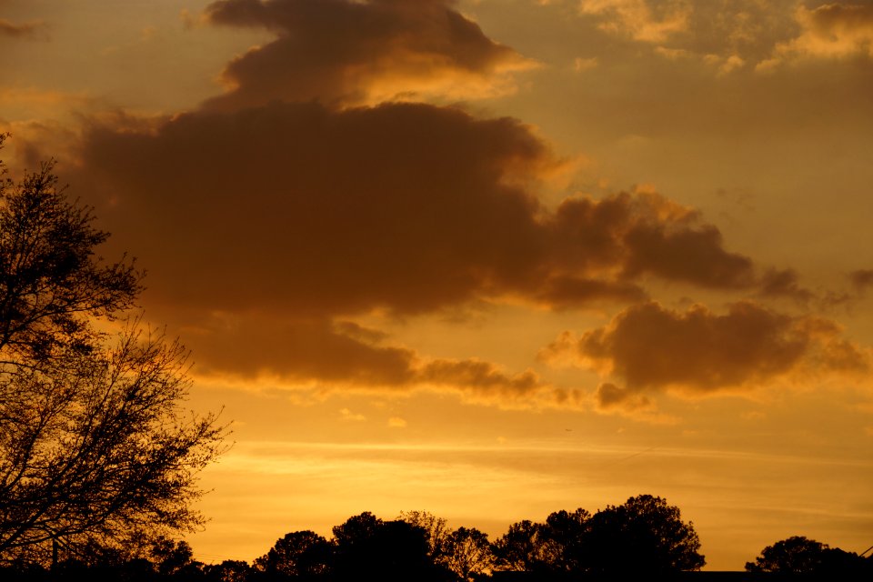 Day 82 - Pure Gold