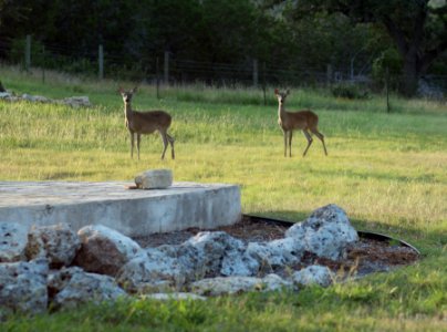 Texas Trip - June 2013