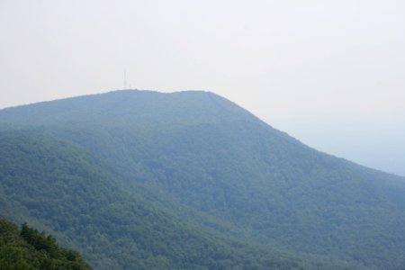IMG 0681