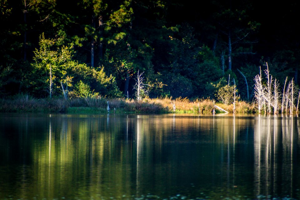 Day 282 - Antioch Lake West