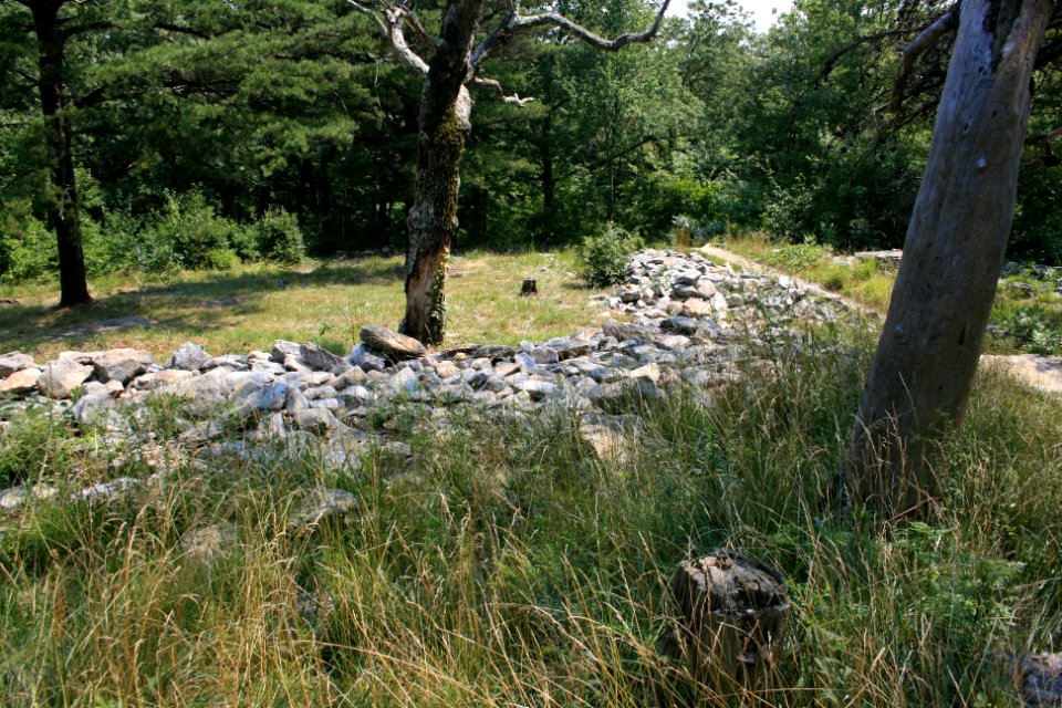 IMG 0683
