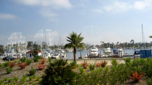 IMG 0306