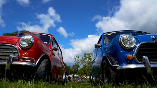 Mark I and Mark II Minis