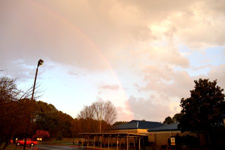 Day 78 - March Rainbow