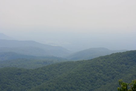 IMG 0665