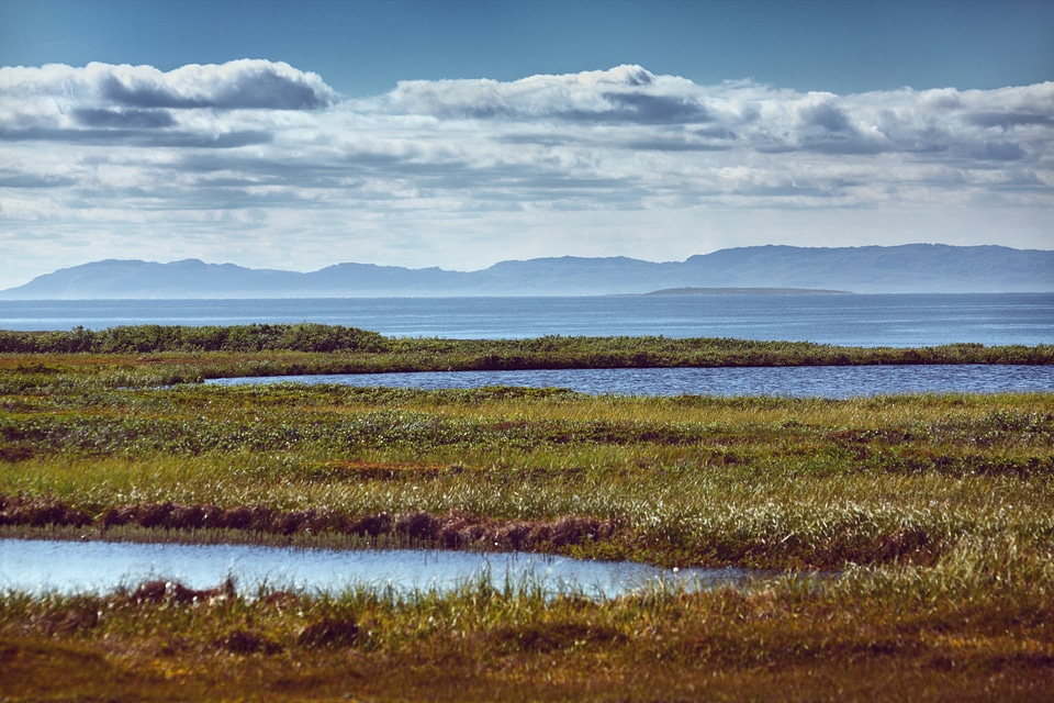 Landscape nature grass