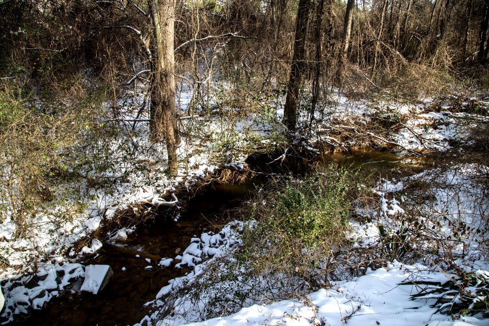 Snow in Kennesaw - January 2014