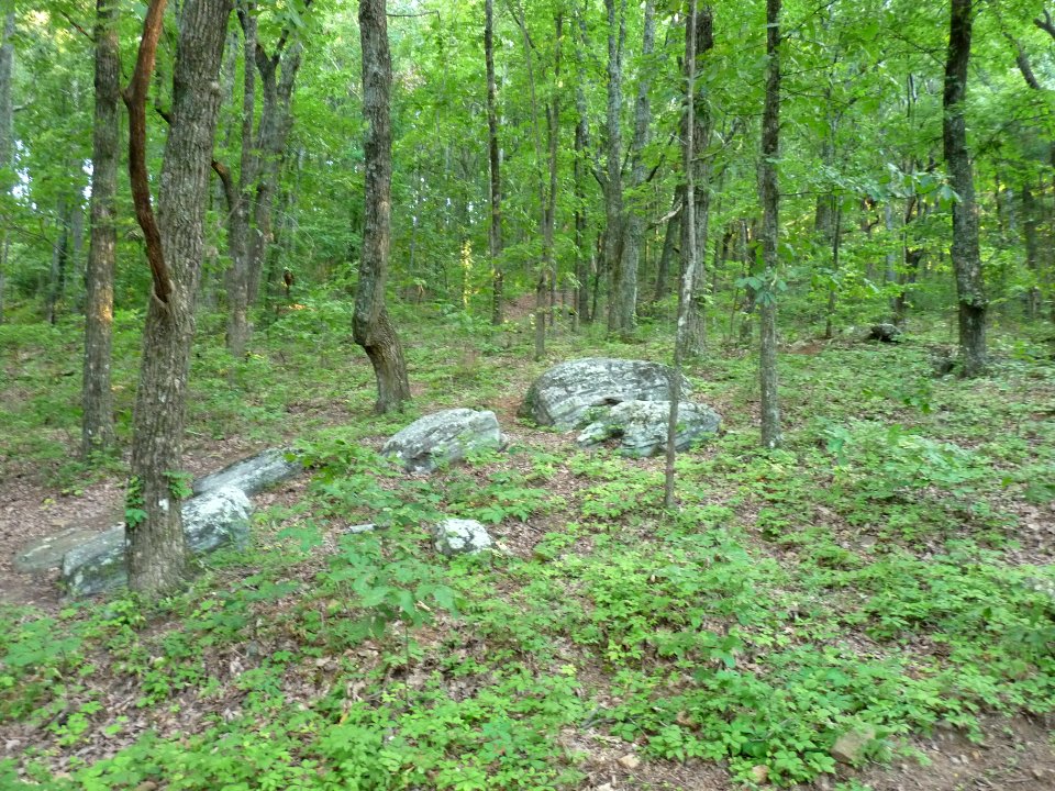 P1000530