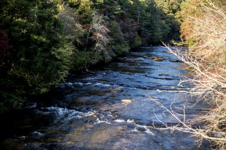 Amicalola River