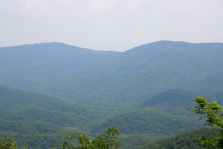IMG 0658