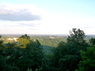 P1000546