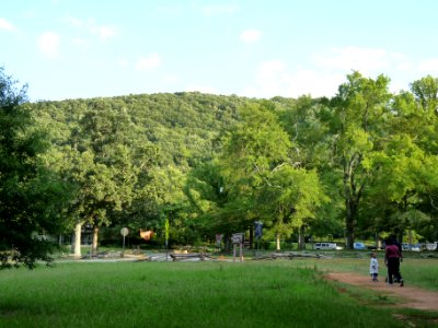P1000517