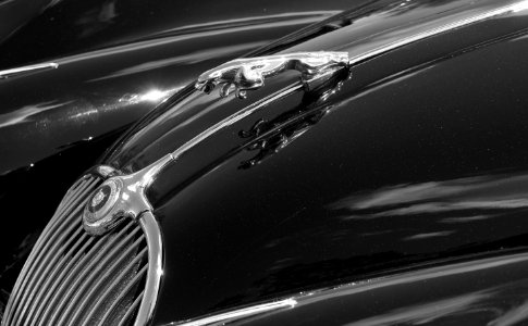 Jaguar XK150 photo