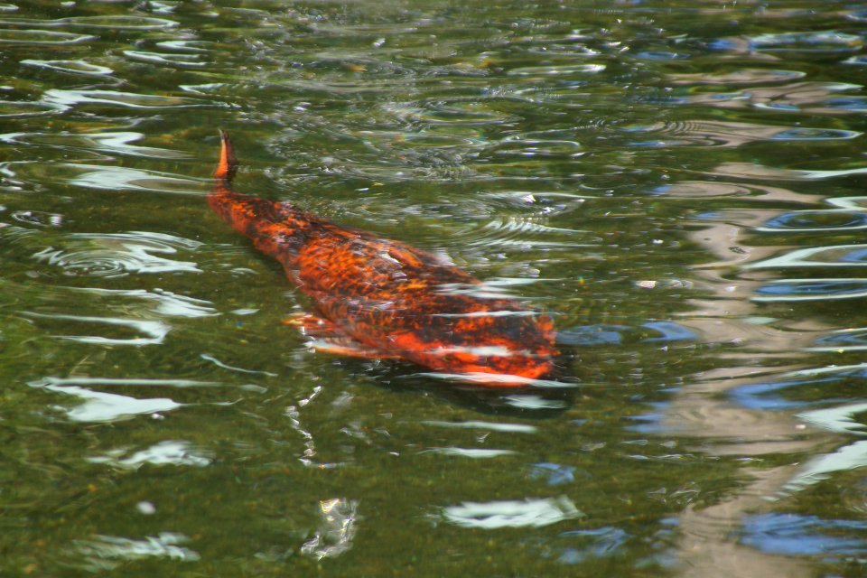DSC08289