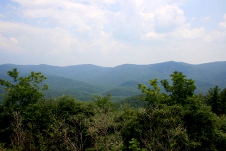 IMG 0659